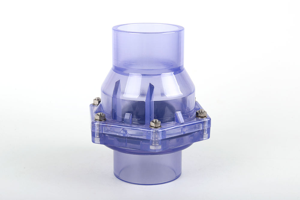 津南透明翻板式止回阀